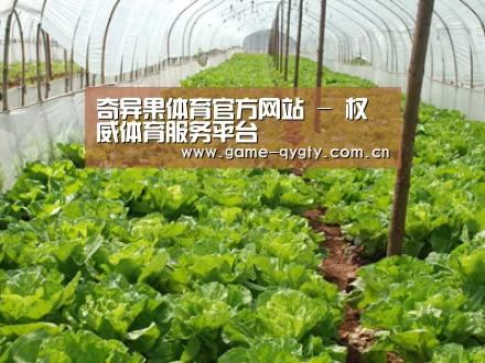 种植基地五