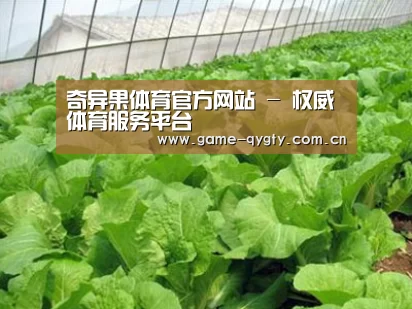 种植基地一