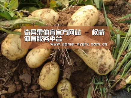 种植基地六