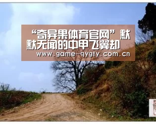 奇异果体育官网